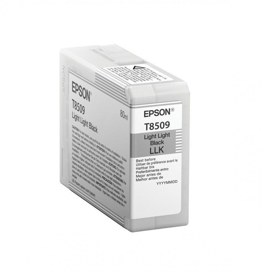 Image of Epson cartuccia nero chiaro-chiaro ultra chrome 80ml T850900 Materiale di consumo Informatica